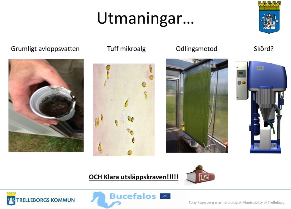 mikroalg Odlingsmetod