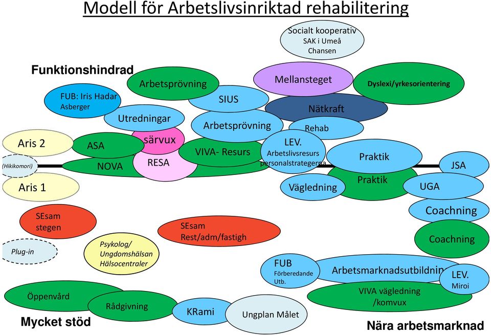 Arbetslivsresurs personalstrategerna Vägledning Dyslexi/yrkesorientering Praktik Praktik UGA JSA Plug in SEsam stegen Öppenvård Mycket stöd Psykolog/