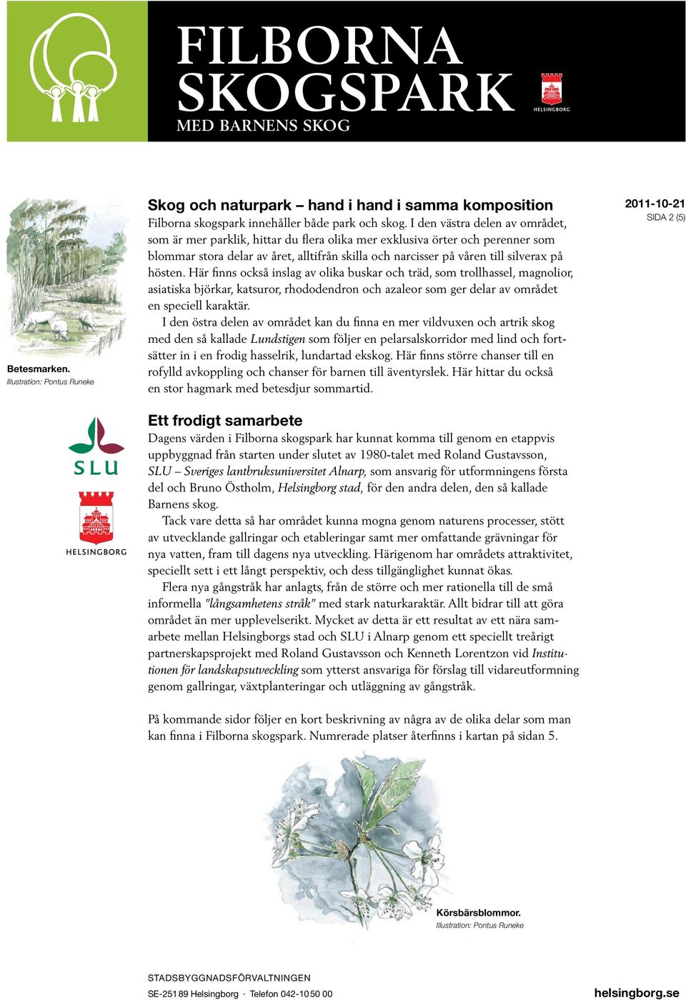 hösten. Här finns också inslag av olika buskar och träd, som trollhassel, magnolior, asiatiska björkar, katsuror, rhododendron och azaleor som ger delar av området en speciell karaktär.