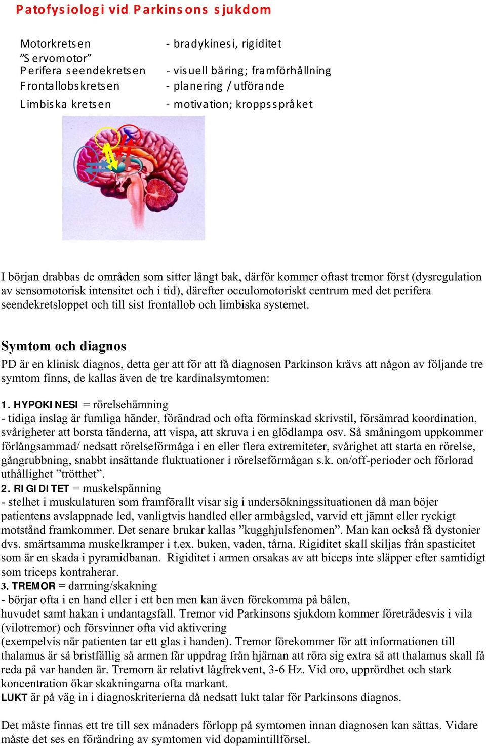 occulomotoriskt centrum med det perifera seendekretsloppet och till sist frontallob och limbiska systemet.