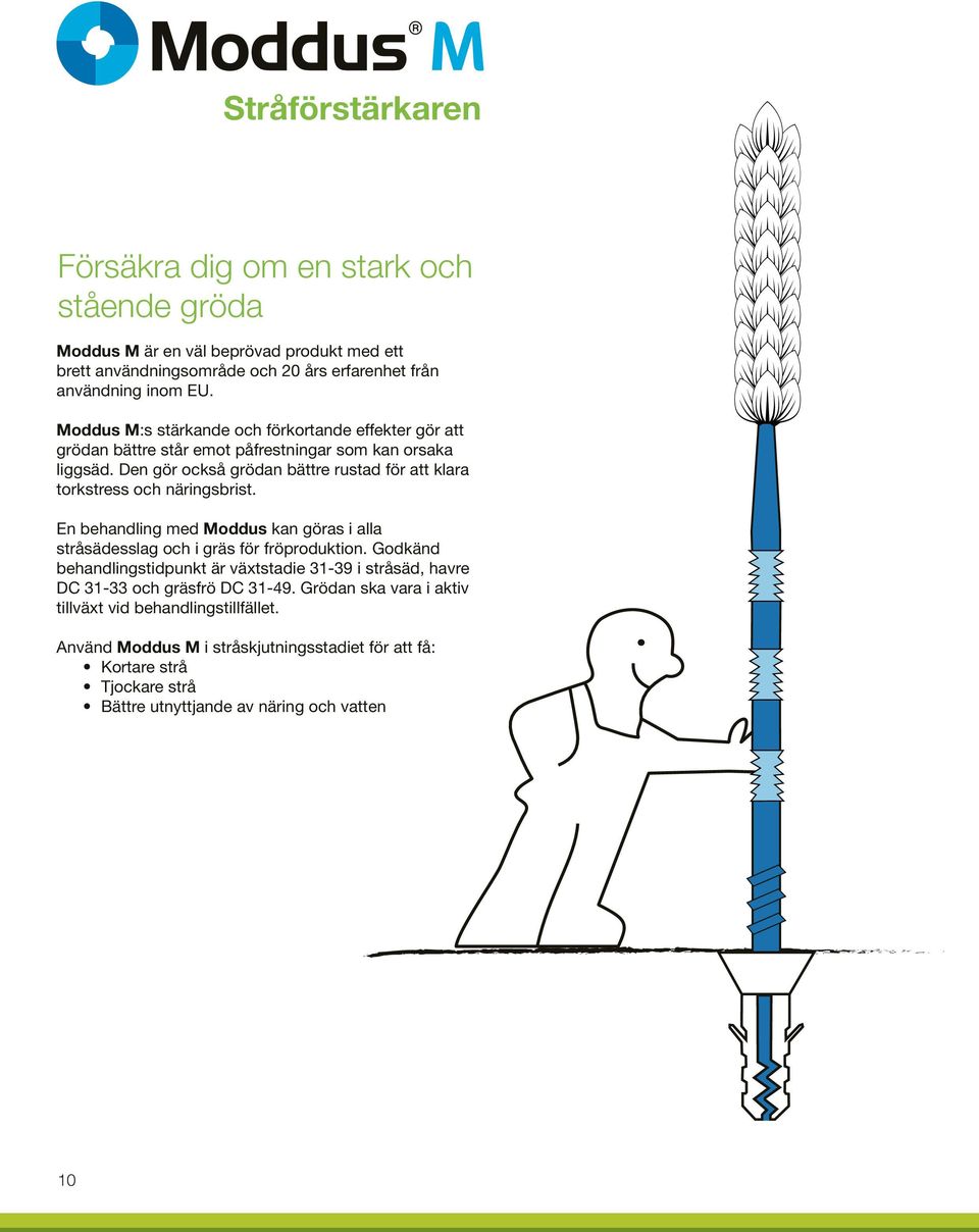 Den gör också grödan bättre rustad för att klara torkstress och näringsbrist. En behandling med Moddus kan göras i alla stråsädesslag och i gräs för fröproduktion.