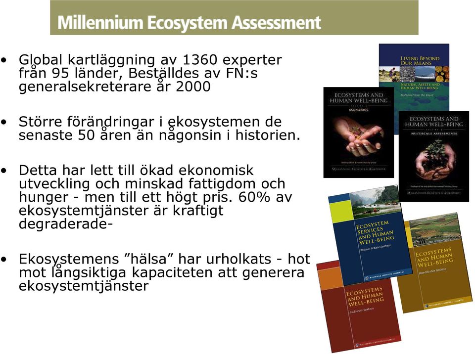 Detta har lett till ökad ekonomisk utveckling och minskad fattigdom och hunger - men till ett högt pris.