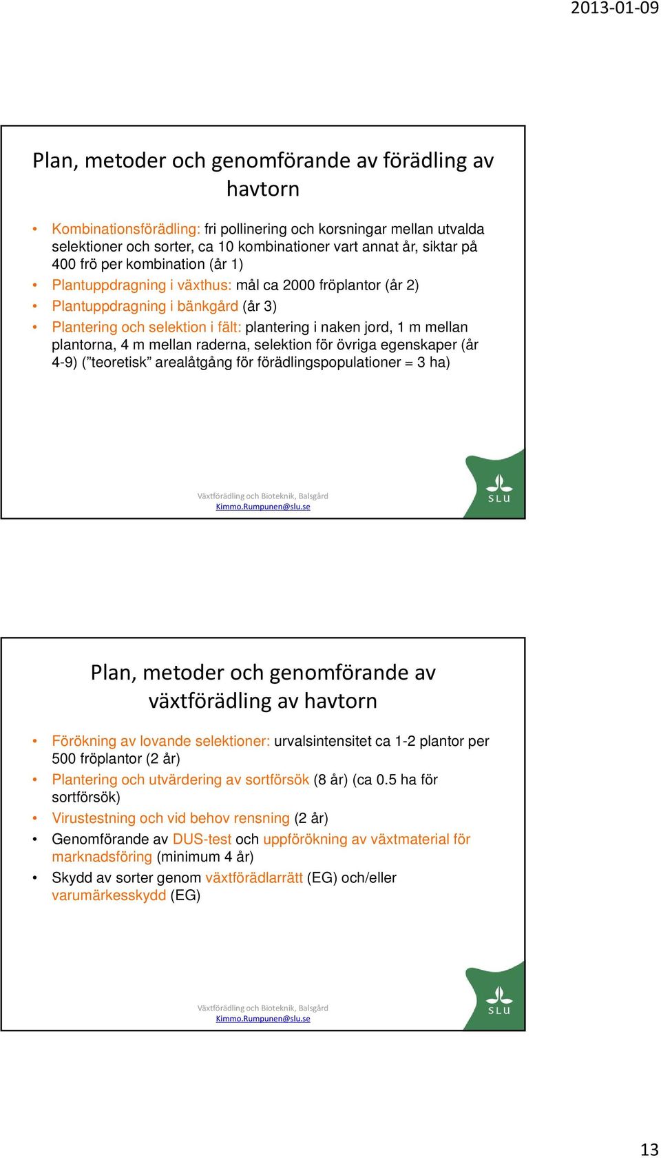 4 m mellan raderna, selektion för övriga egenskaper (år 4-9) ( teoretisk arealåtgång för förädlingspopulationer = 3 ha) Plan, metoder och genomförande av växtförädling av havtorn Förökning av lovande