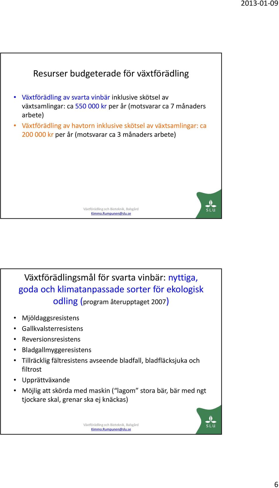 och klimatanpassade sorter för ekologisk odling (program återupptaget 2007) Mjöldaggsresistens Gallkvalsterresistens Reversionsresistens Bladgallmyggeresistens