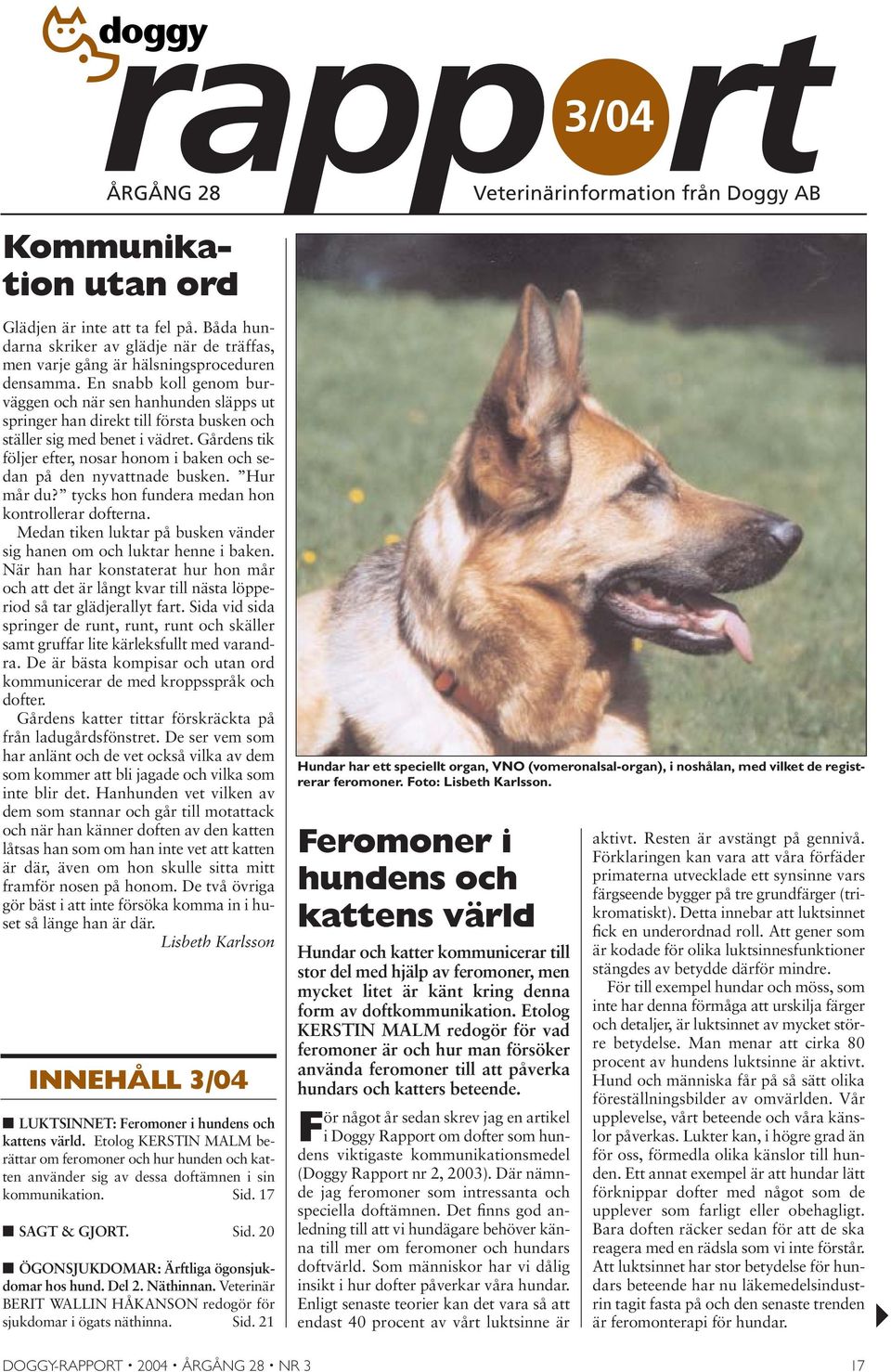 En snabb koll genom burväggen och när sen hanhunden släpps ut springer han direkt till första busken och ställer sig med benet i vädret.