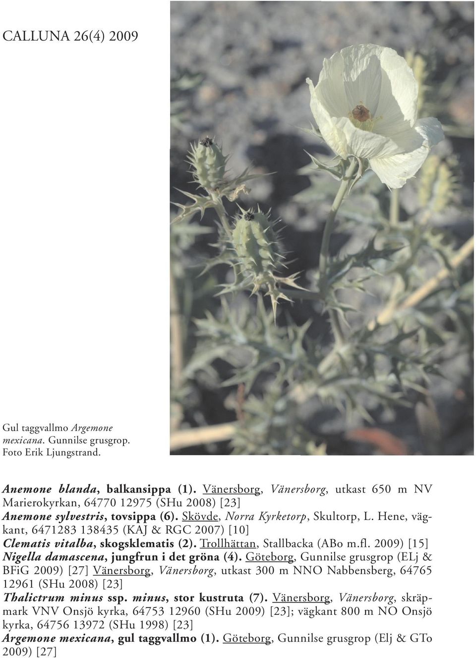 Hene, vägkant, 6471283 138435 (KAJ & RGC 2007) [10] Clematis vitalba, skogsklematis (2). Trollhättan, Stallbacka (ABo m.fl. 2009) [15] Nigella damascena, jungfrun i det gröna (4).