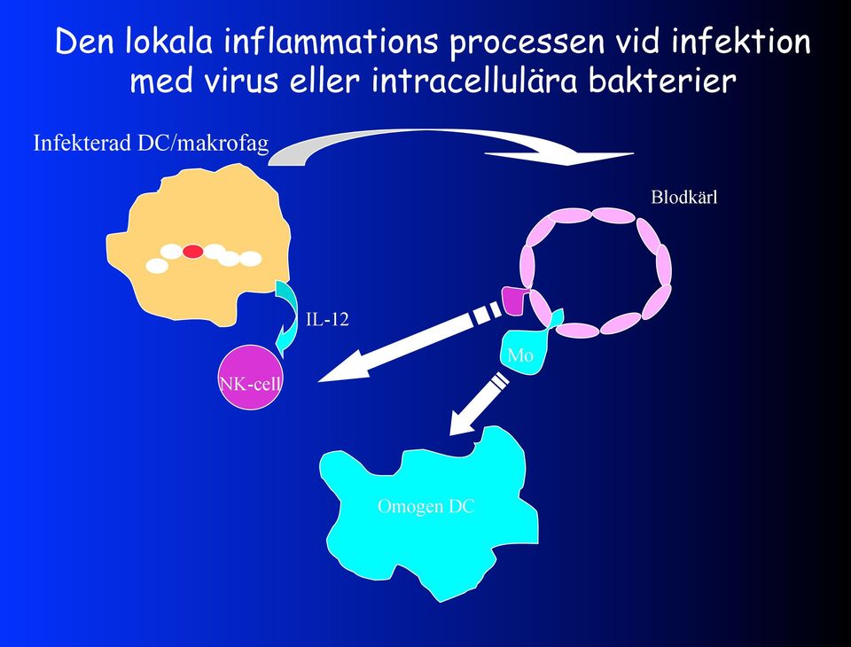 intracellulära bakterier Infekterad