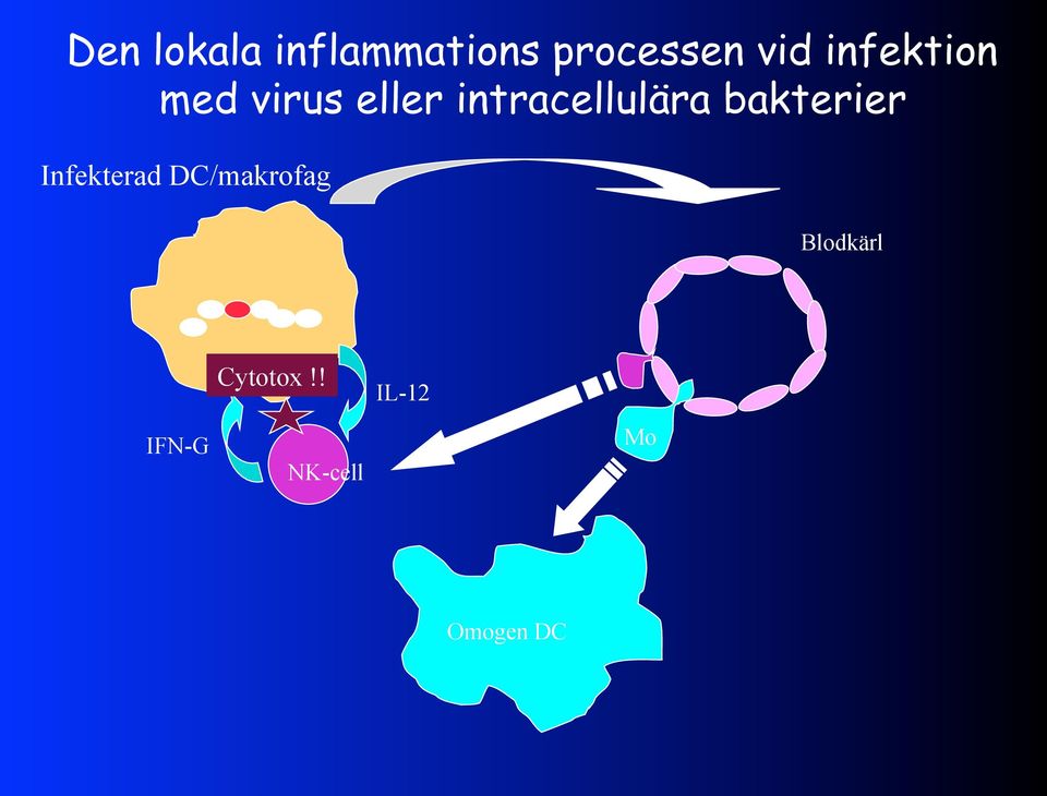 bakterier Infekterad DC/makrofag