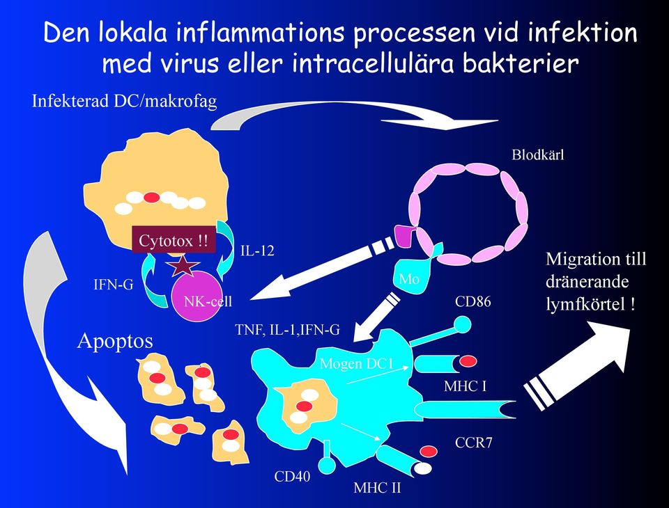 IFN-G Cytotox!