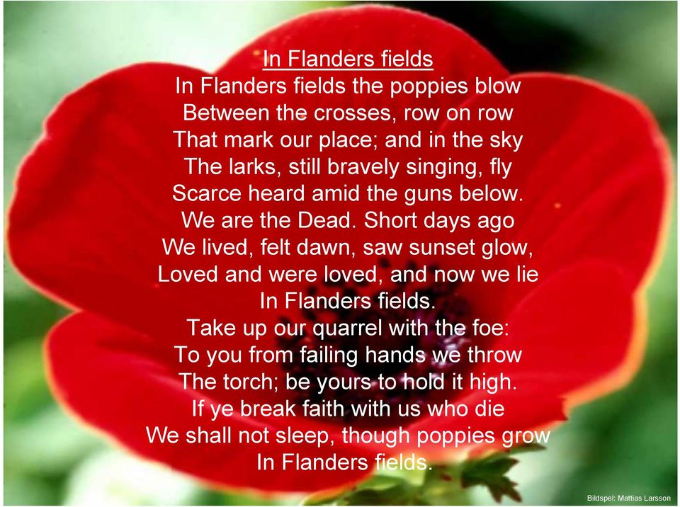 hort days ago We lived, felt dawn, saw sunset glow, Loved and were loved, and now we lie In Flanders fields.