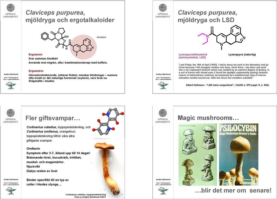 lysergsyra Lysergsyradietylamid (semisyntetisk, LSD) Lysergsyra (naturlig) Last Friday, the 16th of April [1943], I had to leave my work in the laboratory and go home because I felt strangely