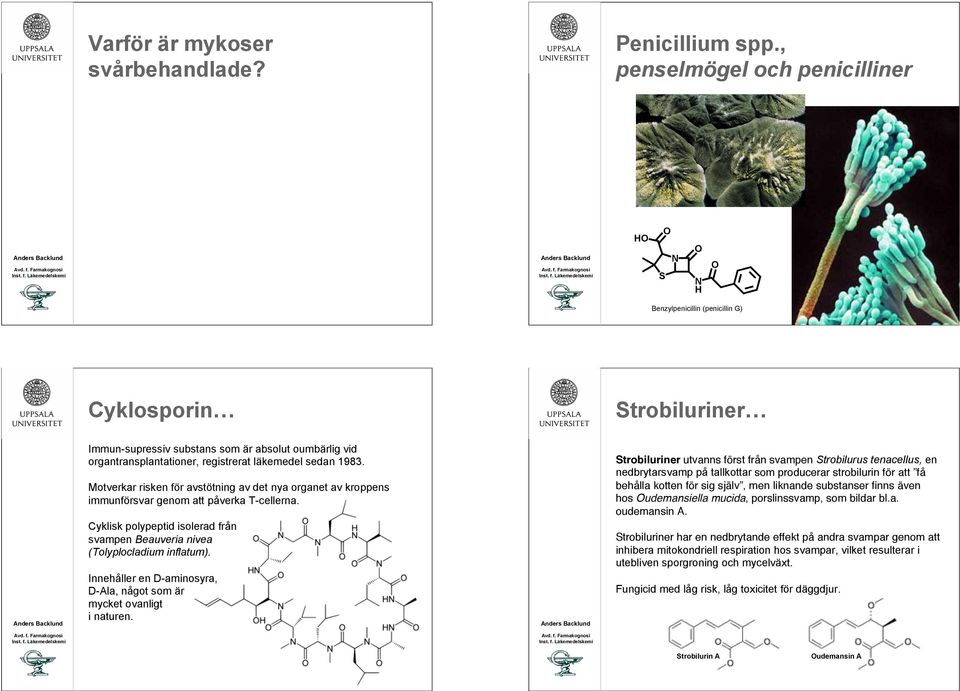 sedan 1983. Motverkar risken för avstötning av det nya organet av kroppens immunförsvar genom att påverka T-cellerna.