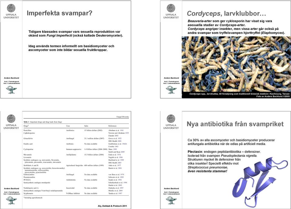 Cordyceps angriper insekter, men vissa arter går också på andra svampar som tryffelsvampen hjorttryffel (Elaphomyces).