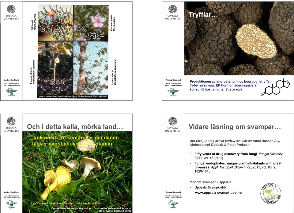 Bra fördjupning är två review-artiklar av Amal Hassan Aly, Abdessamad Debbab & Peter Proksch Fifty years of drug discovery from fungi Fungal Diversity, 2011, vol. 46 (nr.