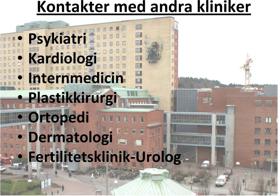 Internmedicin Plastikkirurgi