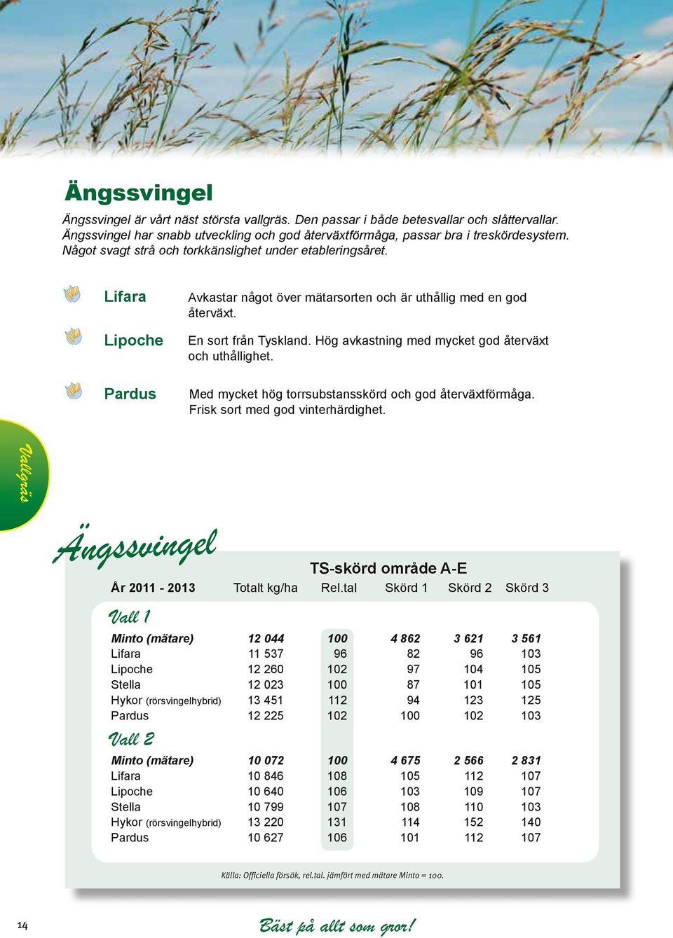 Hög avkastning med mycket god återväxt och uthållighet. Med mycket hög torrsubstansskörd och god återväxtförmåga. Frisk sort med god vinterhärdighet.