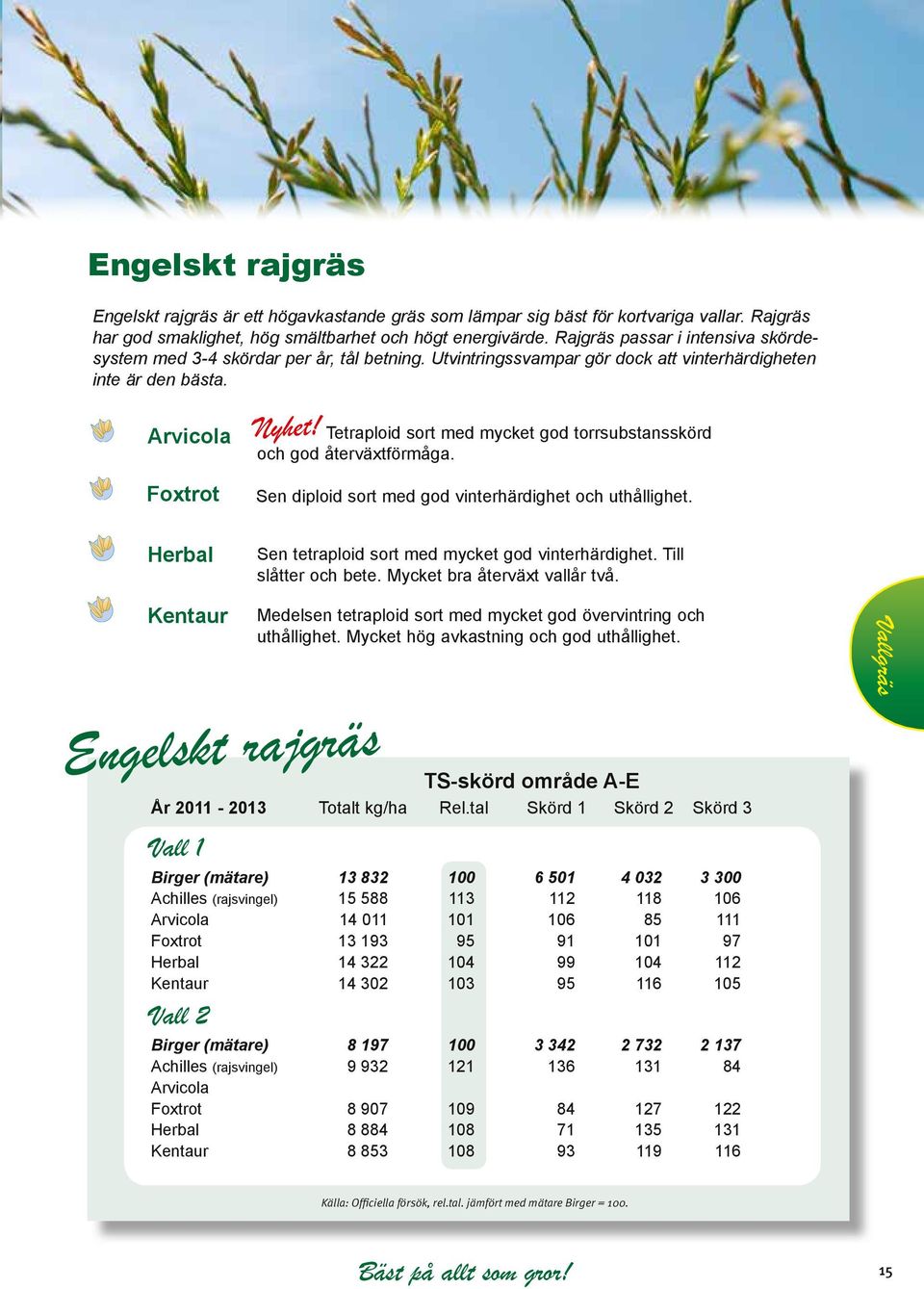 Arvicola Tetraploid sort med mycket god torrsubstansskörd och god återväxtförmåga. Foxtrot Sen diploid sort med god vinterhärdighet och uthållighet.