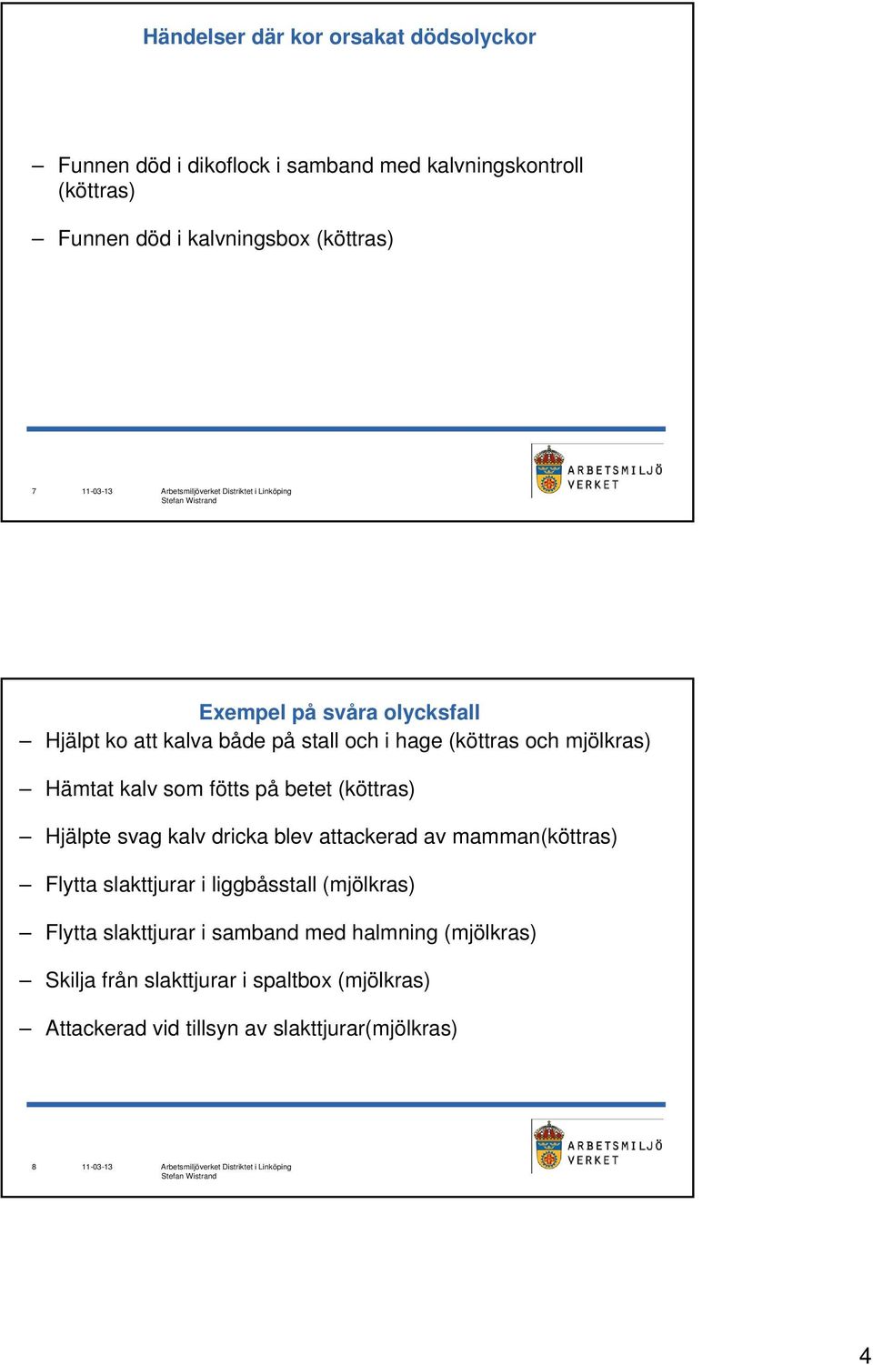 Arbete Med Notkreatur Livsfarligt Definitivt Ja Det Utfores Pa
