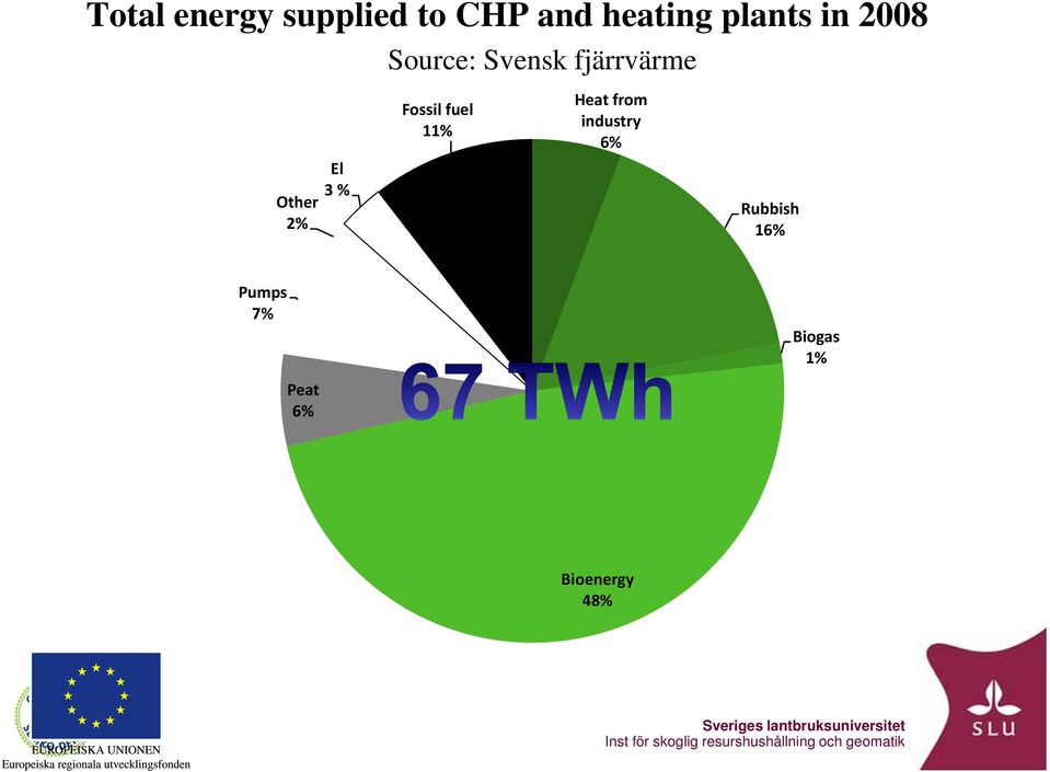 industry 6% Rubbish 16% Pumps 7% Peat 6% Biogas 1% Bioenergy 48%