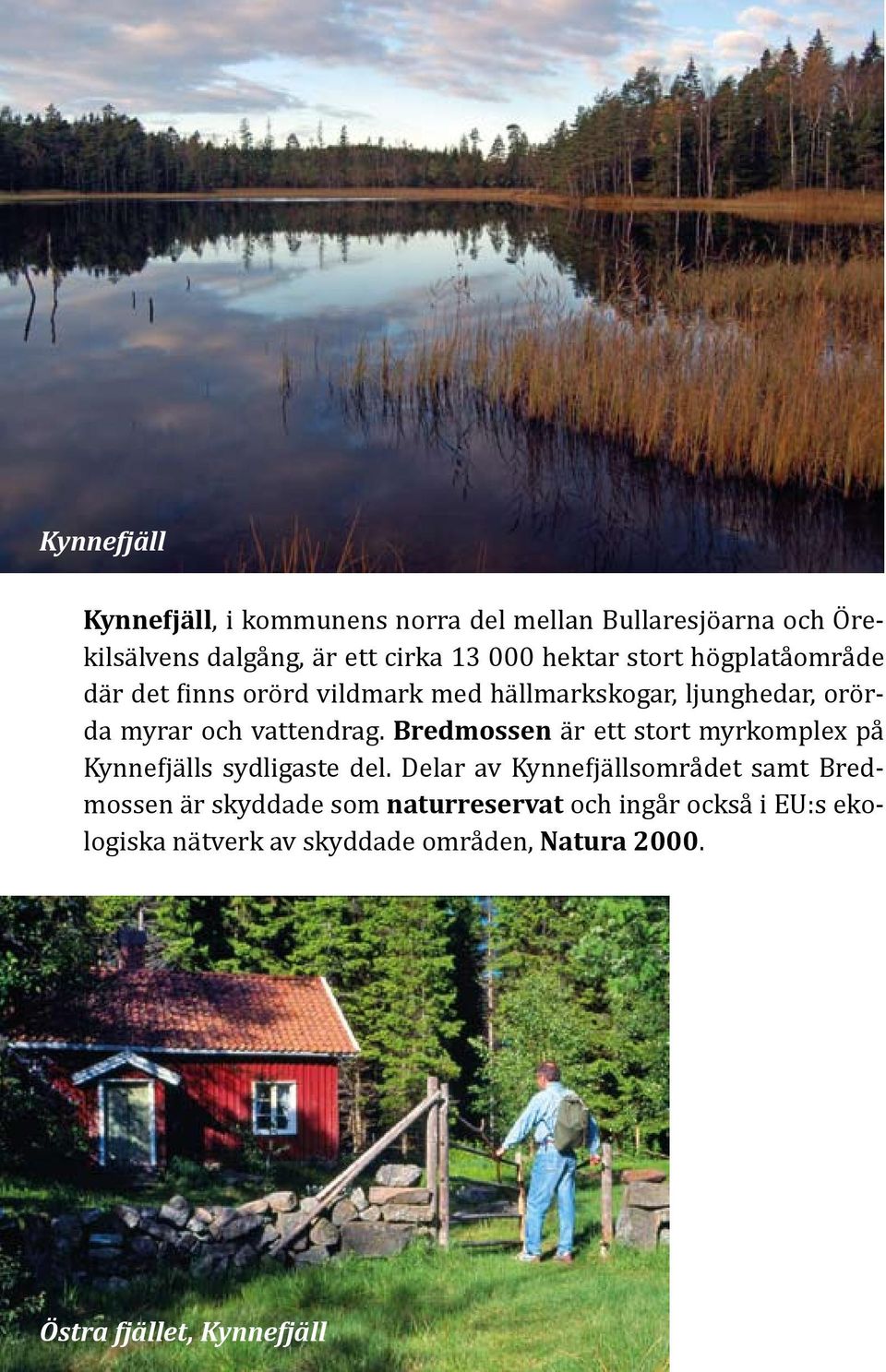 Bredmossen är ett stort myrkomplex på Kynnefjälls sydligaste del.