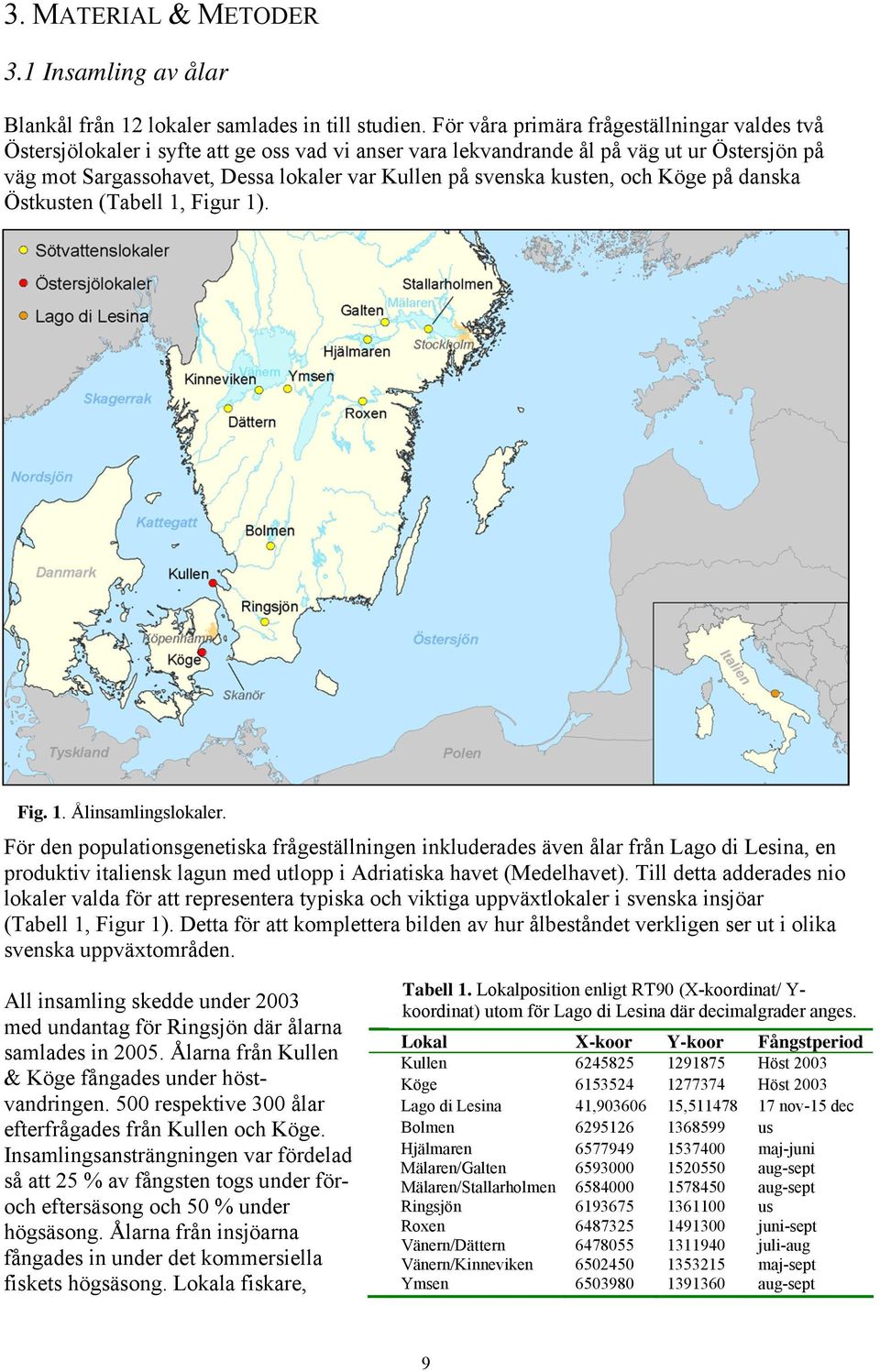 kusten, och Köge på danska Östkusten (Tabell 1, Figur 1). Fig. 1. Ålinsamlingslokaler.