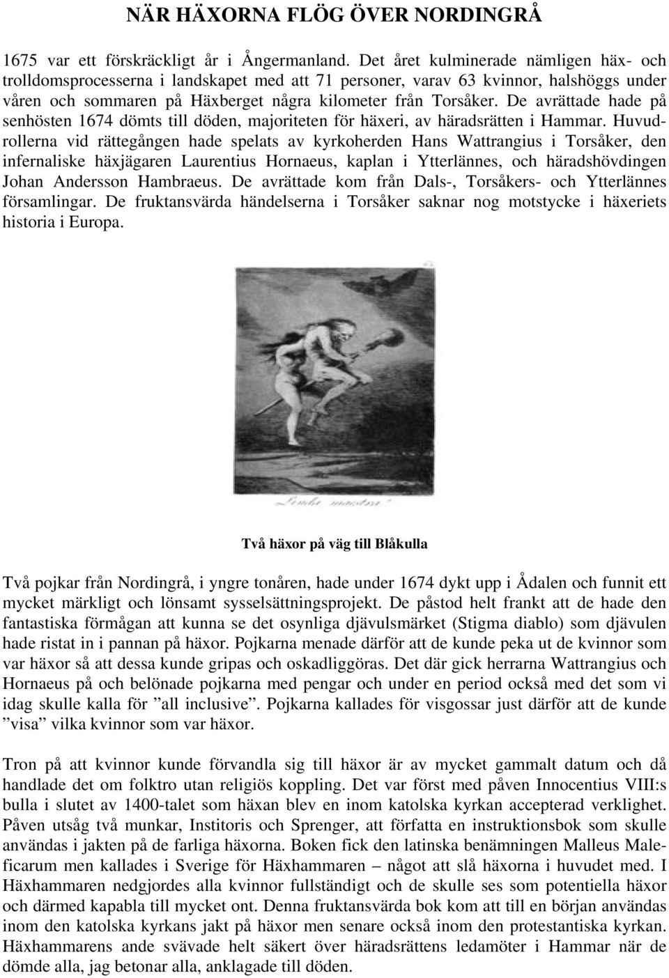 De avrättade hade på senhösten 1674 dömts till döden, majoriteten för häxeri, av häradsrätten i Hammar.