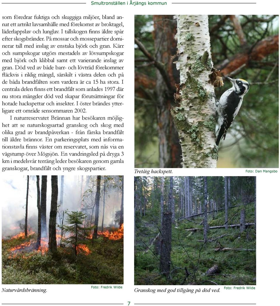 inslag av gran Död ved av både barr- och lövträd förekommer fläckvis i riklig mängd, särskilt i västra delen och på de båda brandfälten som vardera är ca 15 ha stora I centrala delen finns ett