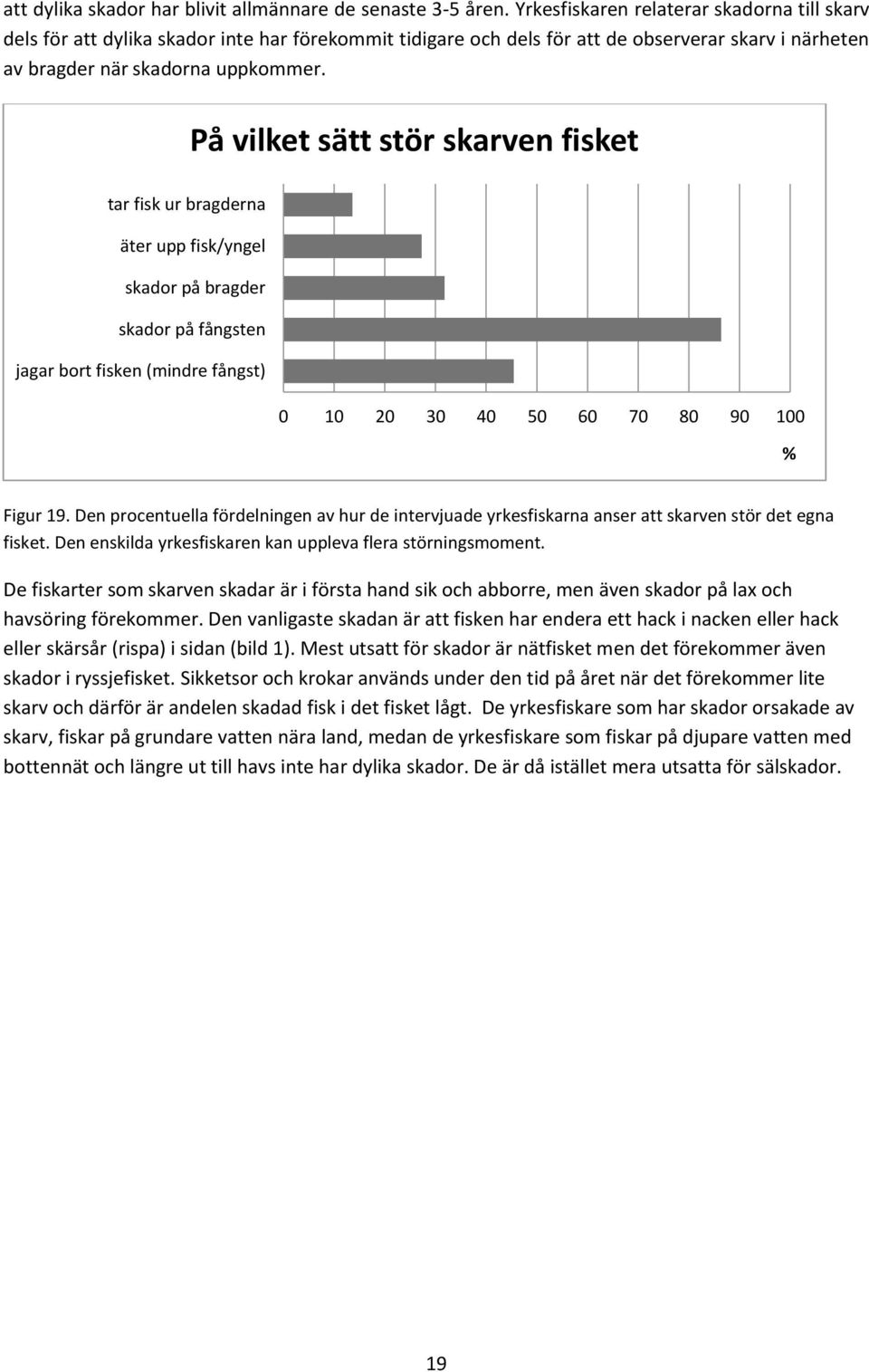 På vilket sätt stör skarven fisket tar fisk ur bragderna äter upp fisk/yngel skador på bragder skador på fångsten jagar bort fisken (mindre fångst) 0 10 20 30 40 50 60 70 80 90 100 % Figur 19.