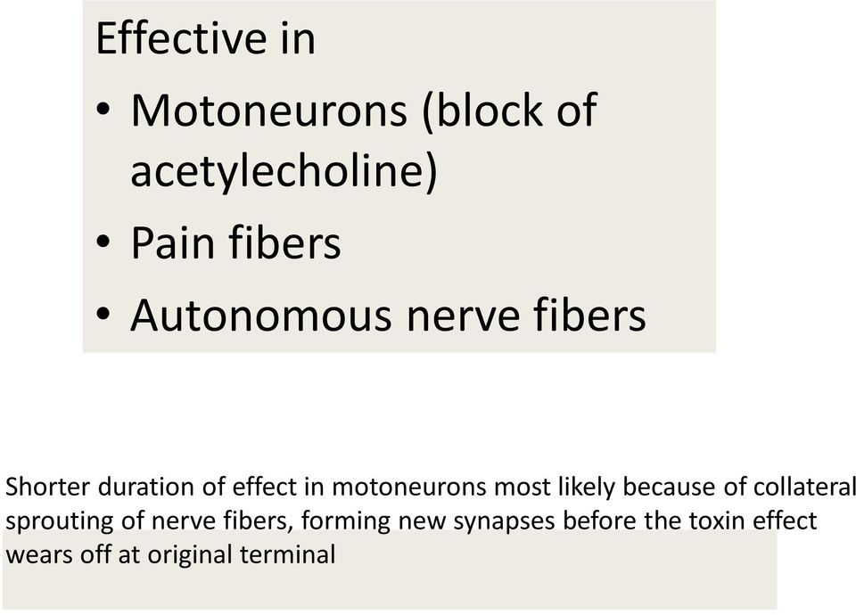 most likely because of collateral sprouting of nerve fibers,