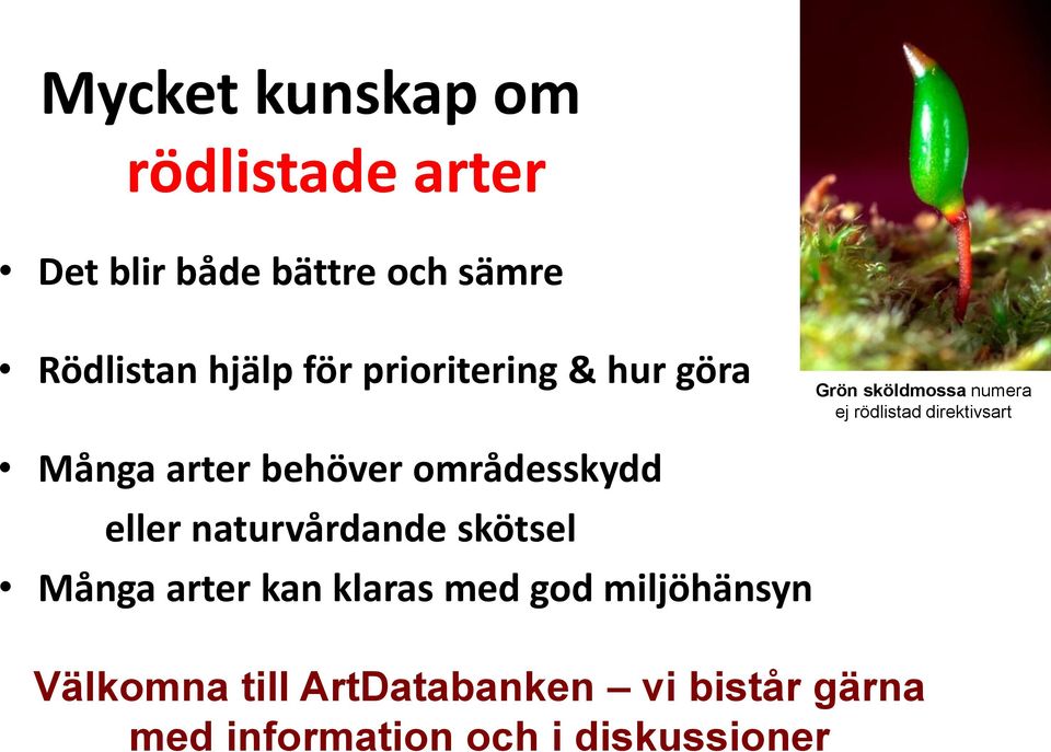 behöver områdesskydd eller naturvårdande skötsel Många arter kan klaras med god