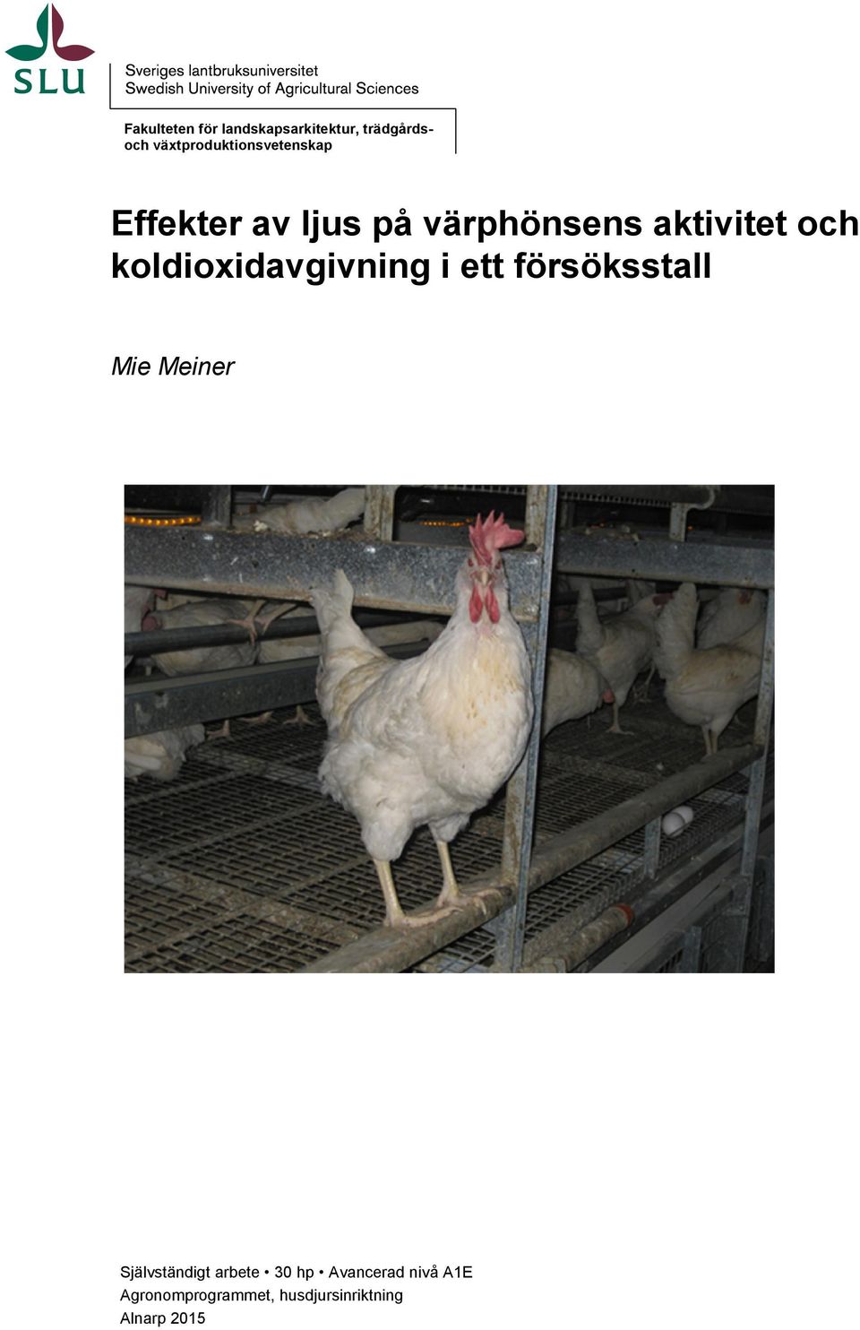 aktivitet och koldioxidavgivning i ett försöksstall Mie Meiner