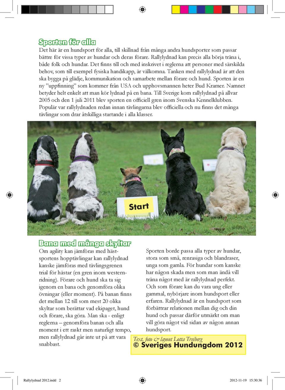 Tanken med rallylydnad är att den ska bygga på glädje, kommunikation och samarbete mellan förare och hund. Sporten är en ny uppfinning som kommer från USA och upphovsmannen heter Bud Kramer.