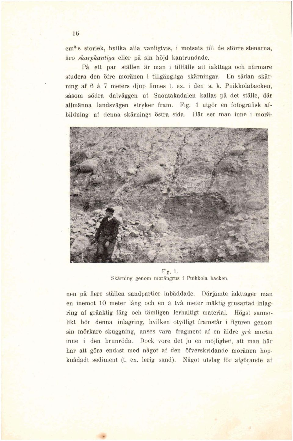 Puikkolabacken, såsom södra dalväggen af Suontakadalen kallas på det ställe, där allmänna landsvägen stryker fram. Fig. 1 utgör en fotografisk afbildning af denna skärnings östra sida.