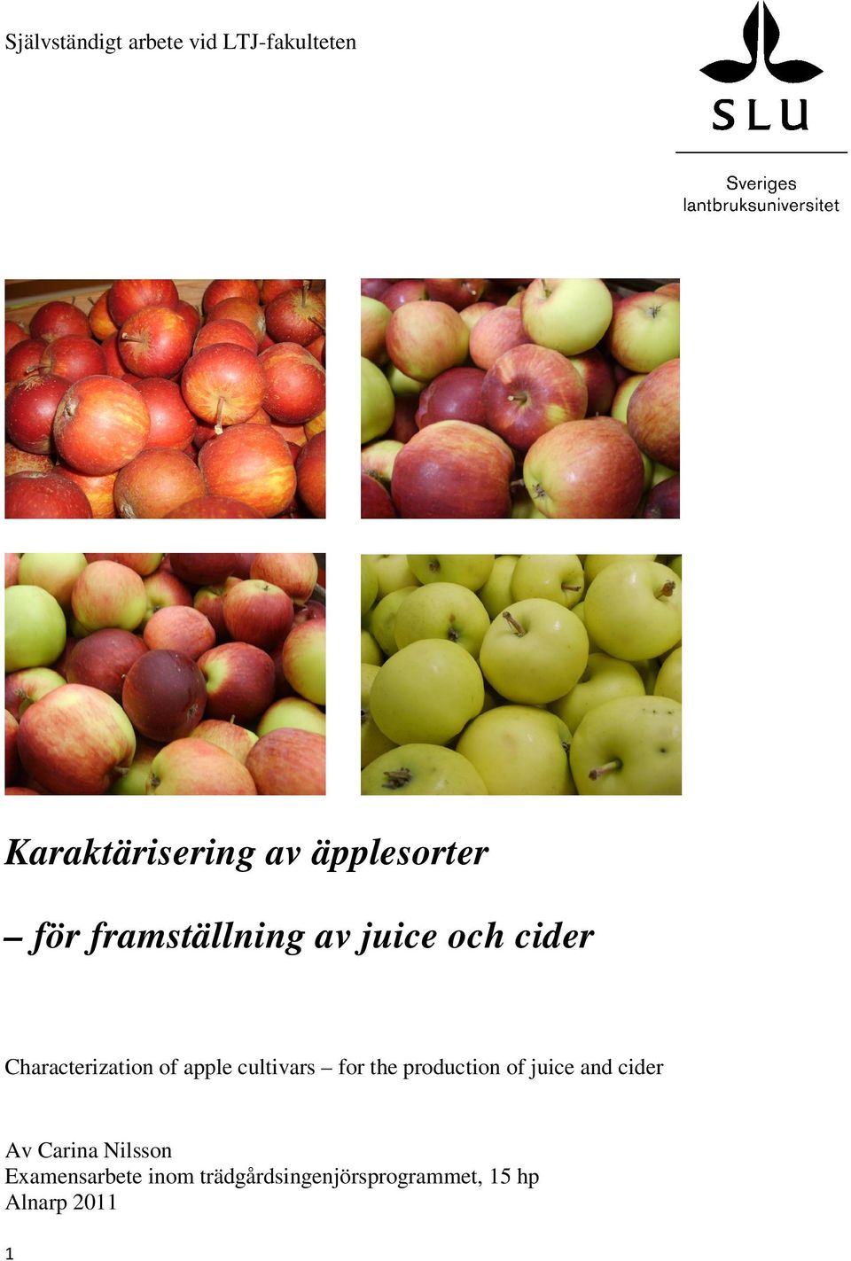 of apple cultivars for the production of juice and cider Av Carina