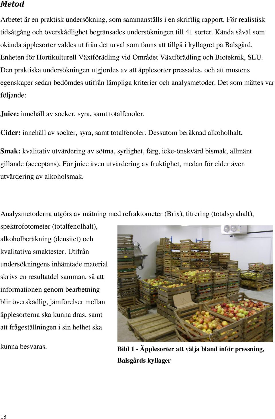 Den praktiska undersökningen utgjordes av att äpplesorter pressades, och att mustens egenskaper sedan bedömdes utifrån lämpliga kriterier och analysmetoder.