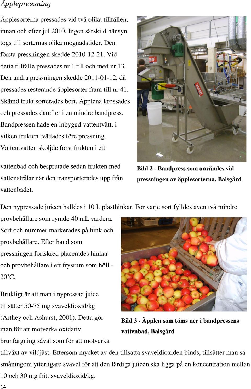 Äpplena krossades och pressades därefter i en mindre bandpress. Bandpressen hade en inbyggd vattentvätt, i vilken frukten tvättades före pressning.