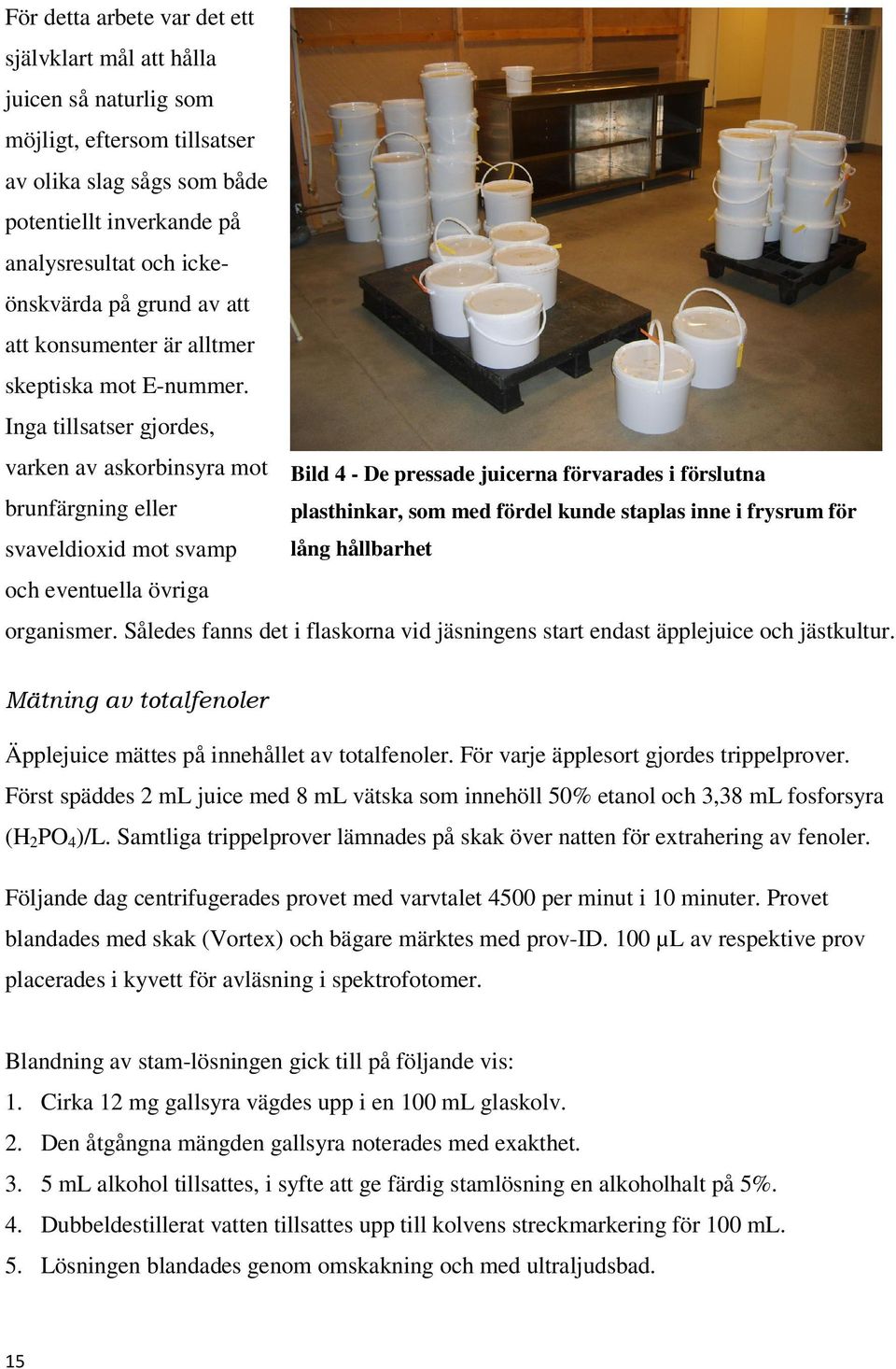 Inga tillsatser gjordes, varken av askorbinsyra mot Bild 4 - De pressade juicerna förvarades i förslutna brunfärgning eller plasthinkar, som med fördel kunde staplas inne i frysrum för svaveldioxid