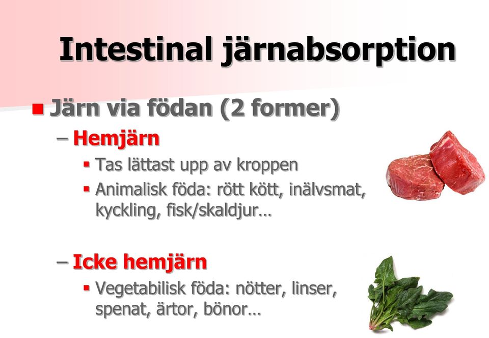 rött kött, inälvsmat, kyckling, fisk/skaldjur Icke