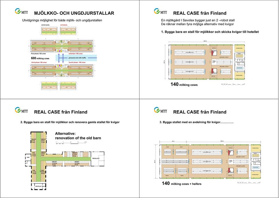 kvigor 1. Bygga bara en stall för mjölkkor och skicka kvigor till hotellet 2.