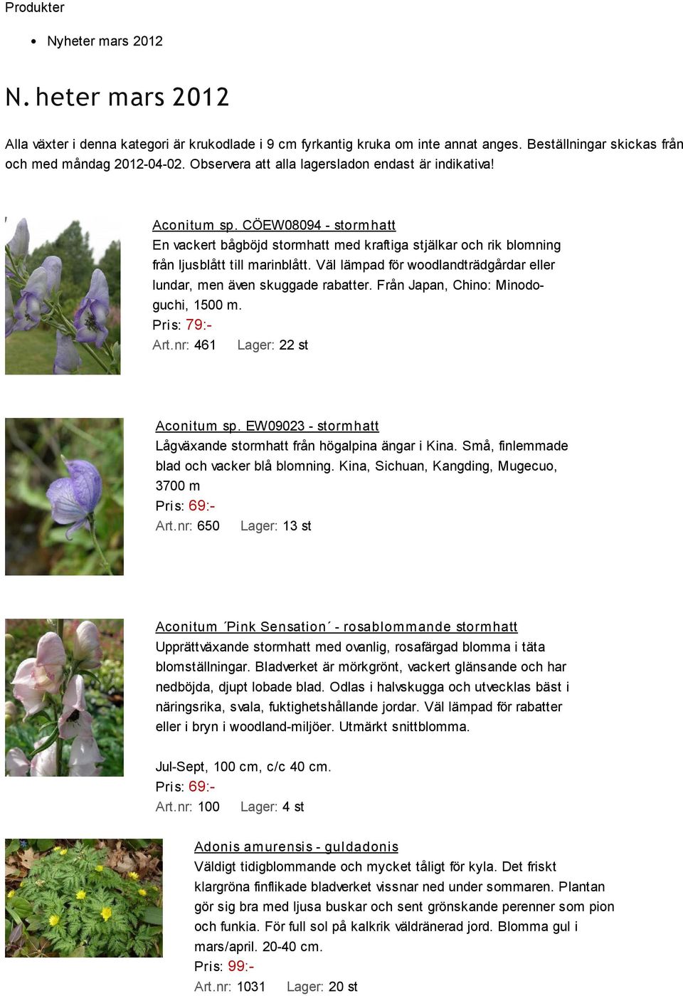Väl lämpad för woodlandträdgårdar eller lundar, men även skuggade rabatter. Från Japan, Chino: Minodoguchi, 1500 m. Art.nr: 461 Lager: 22 st Aconitum sp.