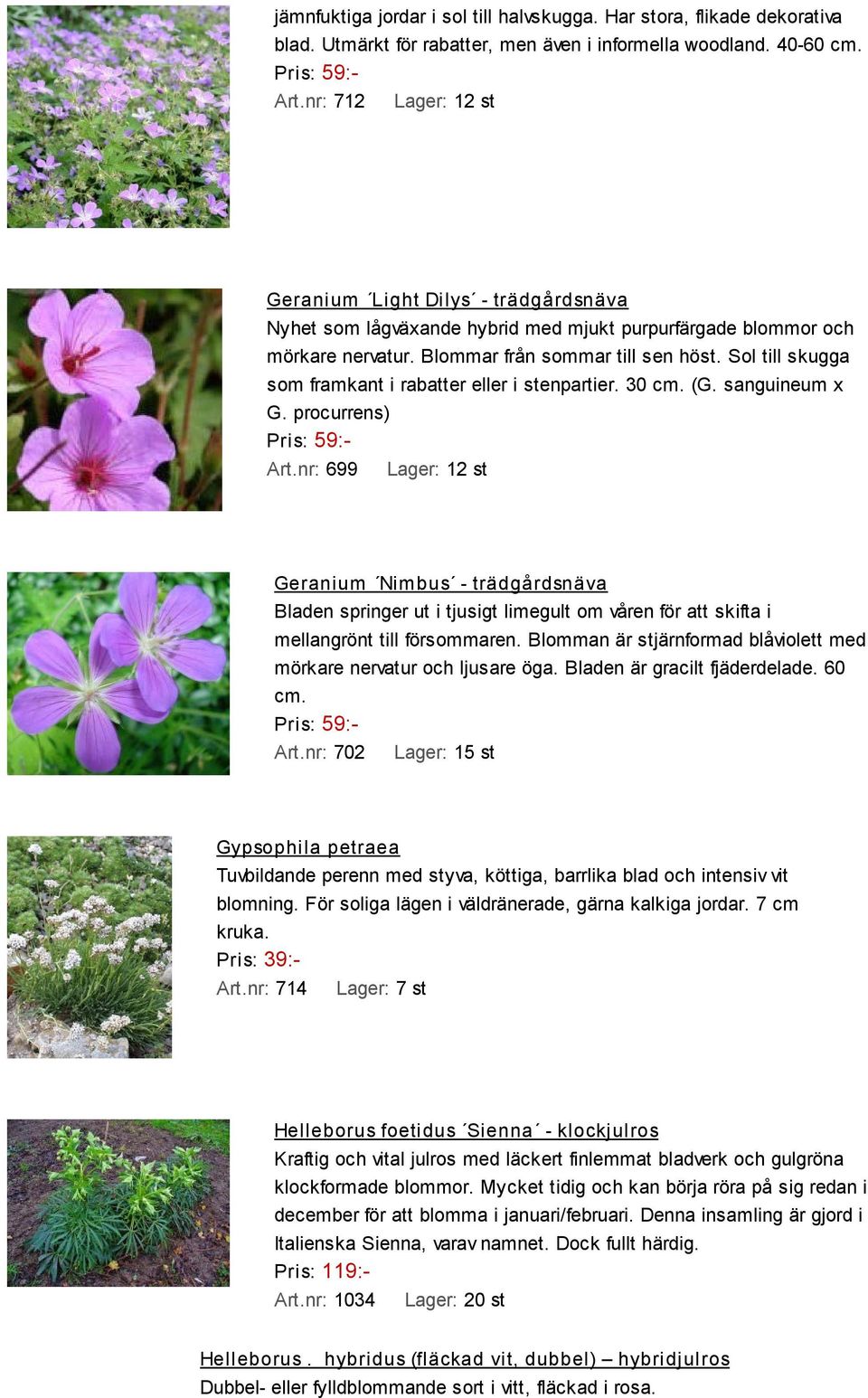 Sol till skugga som framkant i rabatter eller i stenpartier. 30 cm. (G. sanguineum x G. procurrens) Art.
