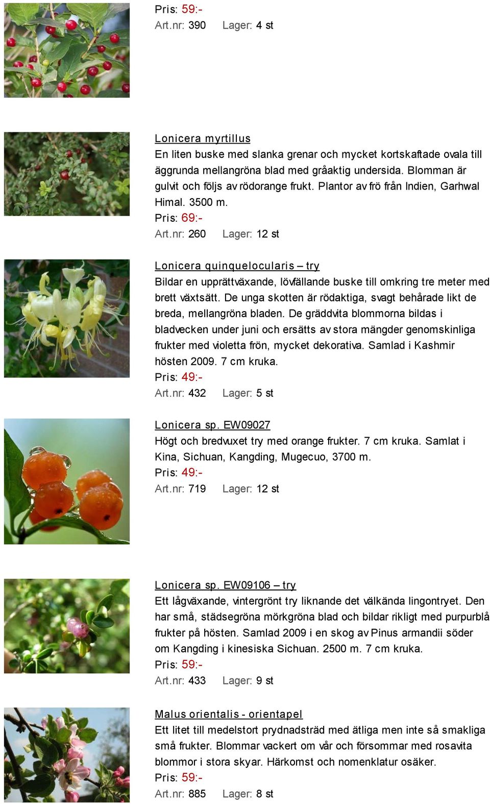 nr: 260 Lager: 12 st Lonicera quinquelocularis try Bildar en upprättväxande, lövfällande buske till omkring tre meter med brett växtsätt.