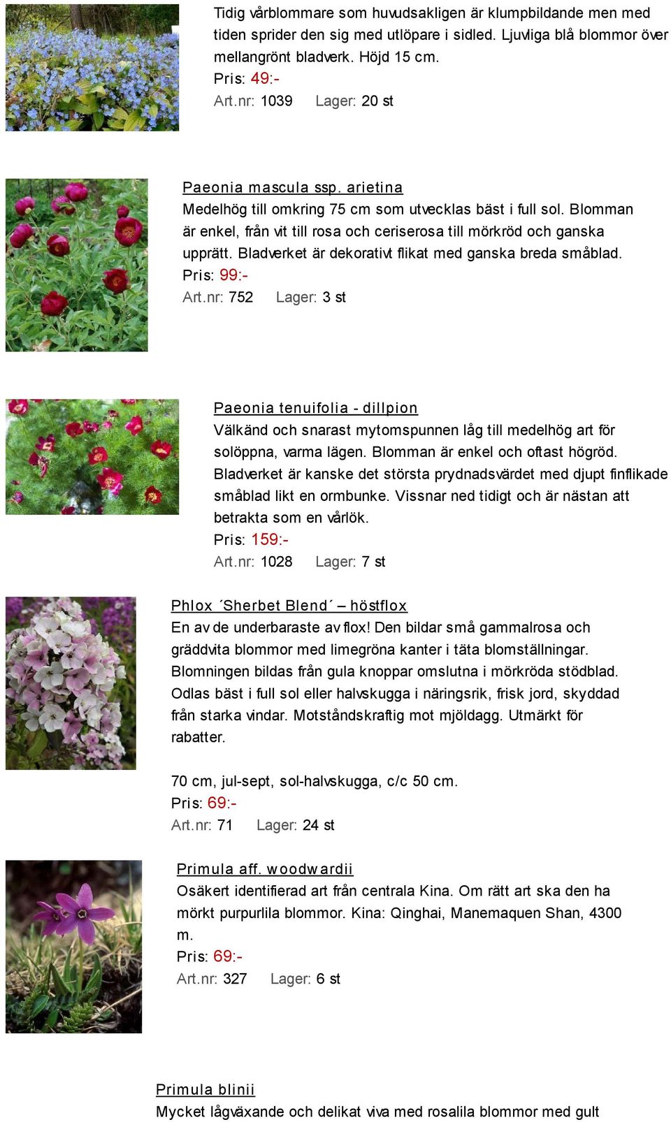 Bladverket är dekorativt flikat med ganska breda småblad. Pris: 99:- Art.