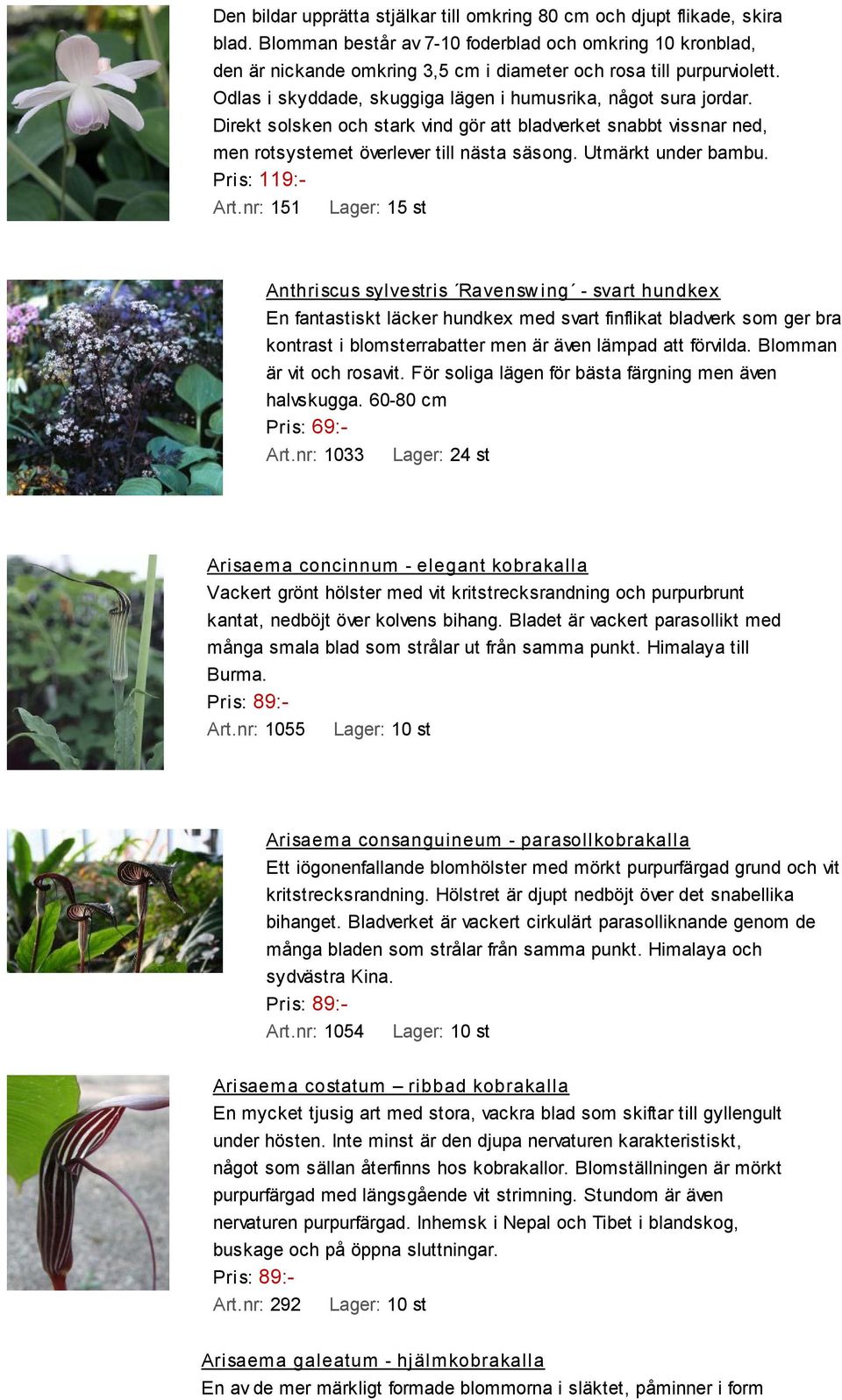 Direkt solsken och stark vind gör att bladverket snabbt vissnar ned, men rotsystemet överlever till nästa säsong. Utmärkt under bambu. Pris: 119:- Art.