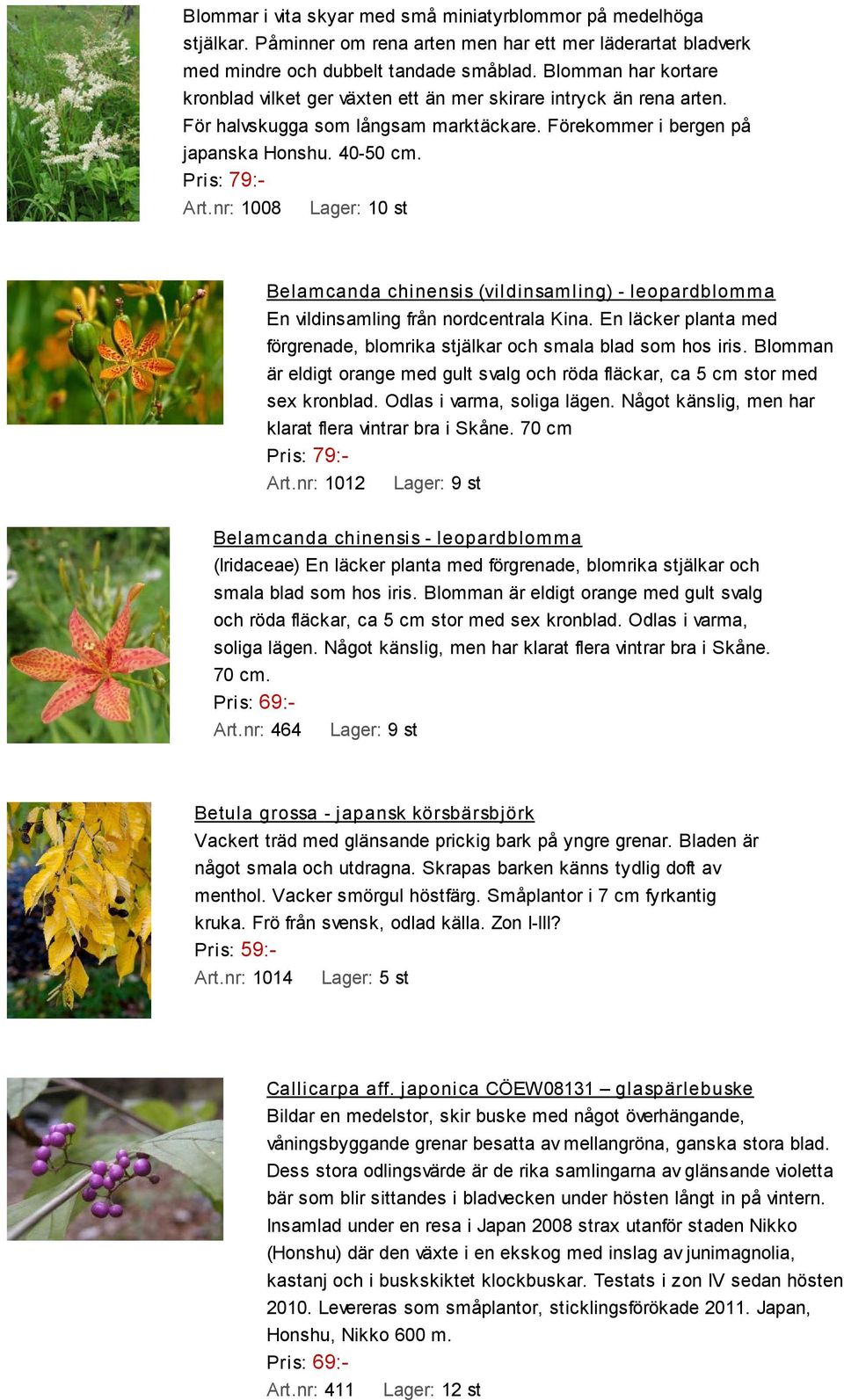 nr: 1008 Belamcanda chinensis (vildinsamling) - leopardblomma En vildinsamling från nordcentrala Kina. En läcker planta med förgrenade, blomrika stjälkar och smala blad som hos iris.