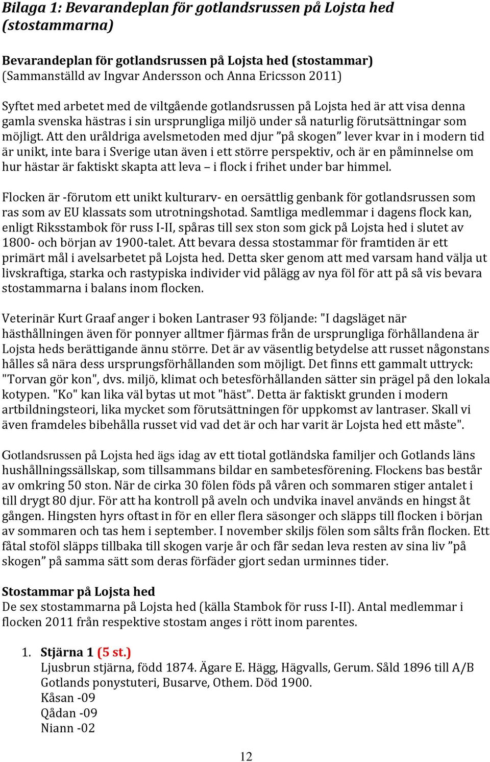 Att den uråldriga avelsmetoden med djur på skogen lever kvar in i modern tid är unikt, inte bara i Sverige utan även i ett större perspektiv, och är en påminnelse om hur hästar är faktiskt skapta att