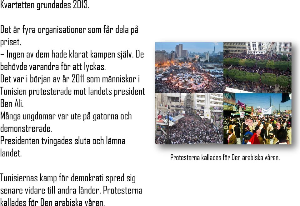 Det var i början av år 2011 som människor i Tunisien protesterade mot landets president Ben Ali.