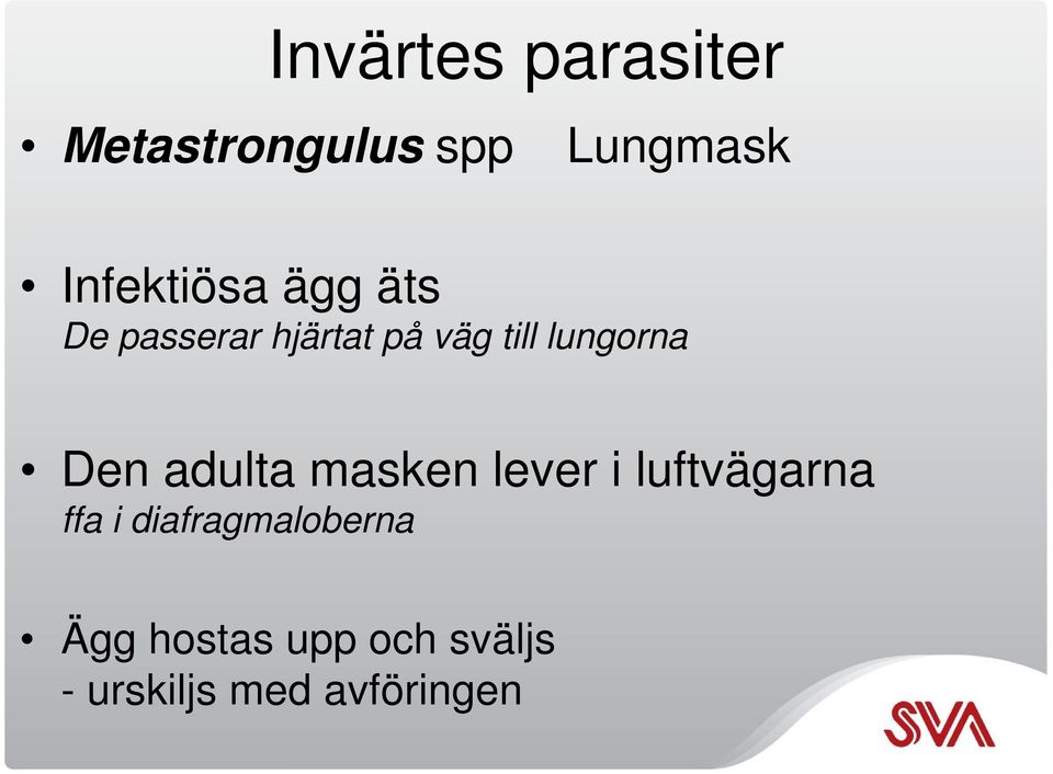 masken lever i luftvägarna ffa i diafragmaloberna