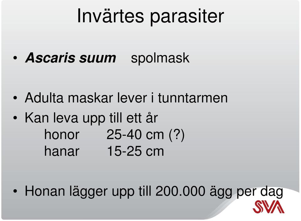 ett år honor 25-40 cm (?