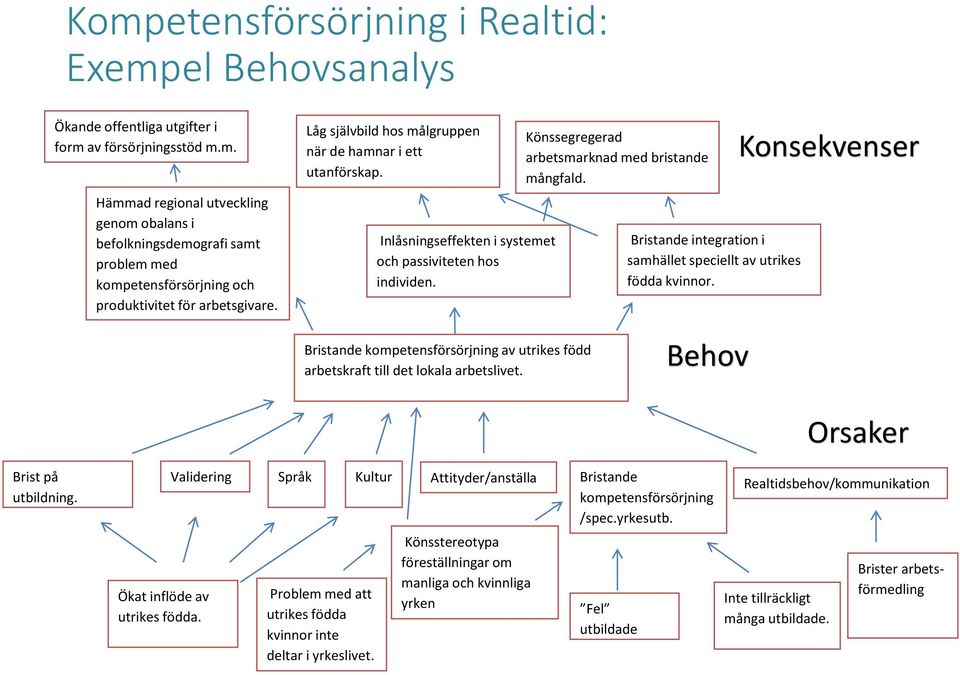 Bristande integration i samhället speciellt av utrikes födda kvinnor. Konsekvenser Bristande kompetensförsörjning av utrikes född arbetskraft till det lokala arbetslivet.